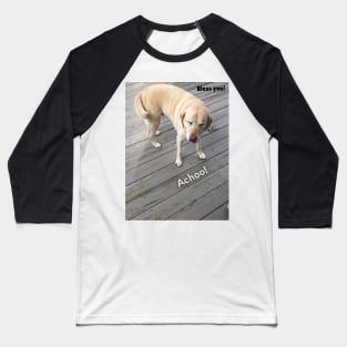 Sneezy Dog Baseball T-Shirt